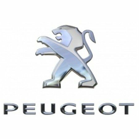 Peugeot%20301%20Arka%20Arma%20Yazı%209678484680%20%20-%20Yan%20Sanayi